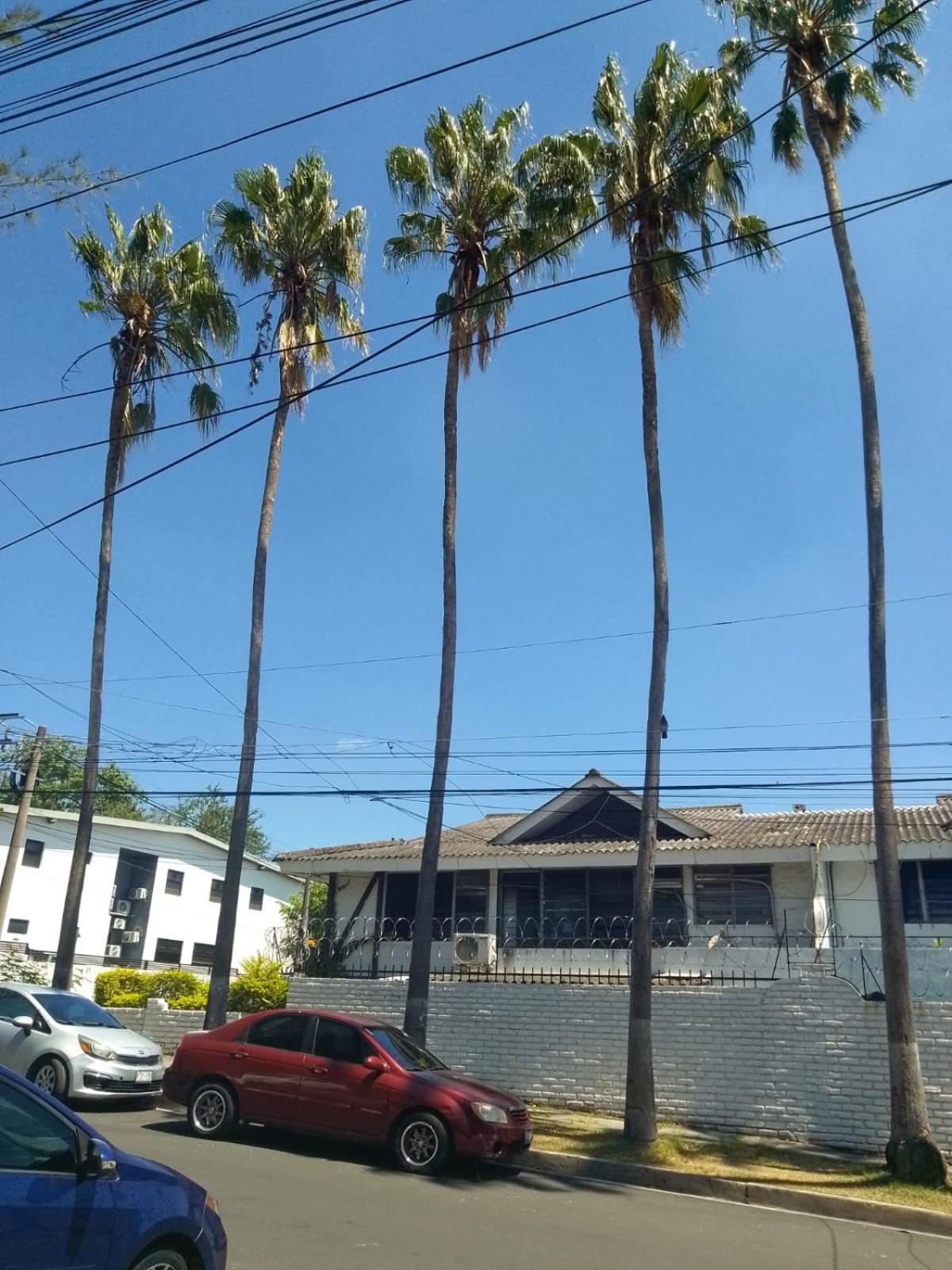 Comfort Home Escalon San Salvador Buitenkant foto